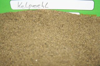Kelpmehl (Algenmehl) 1 kg